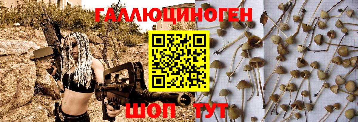 Галлюциногенные грибы мухоморы  цены   Снежинск  Вход с VPN 