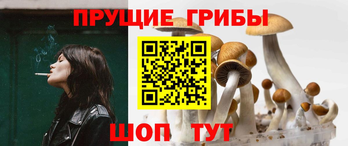 Галлюциногенные грибы Cubensis Снежинск